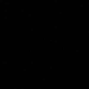 Meet your Posher, Shaun